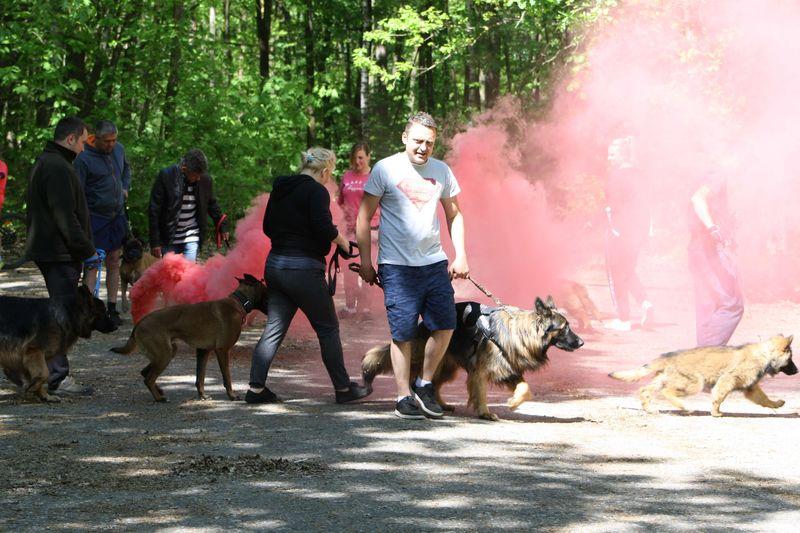 Warsztaty szkolenia psów 5