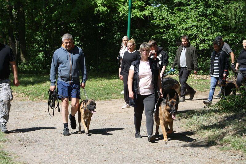 Warsztaty szkolenia psów 7