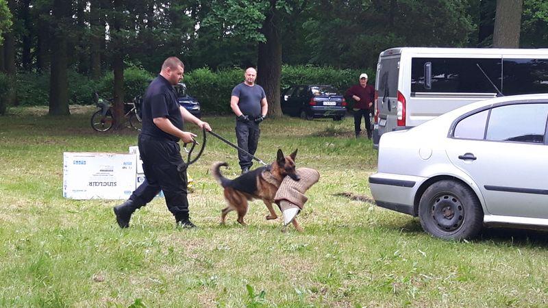 Pokaz szkolenia psów IraDog 5